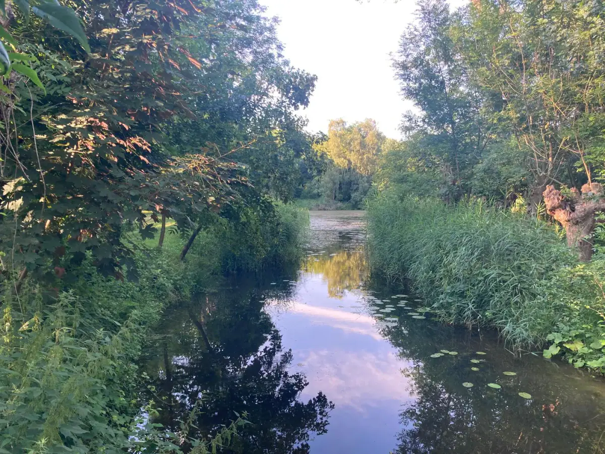 Foto bij Bezoek aan de Eendenkooi Maaspoort